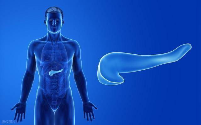 护胰就是护命！胰腺喜欢的4种低脂食物，建议每天吃点，远离炎症