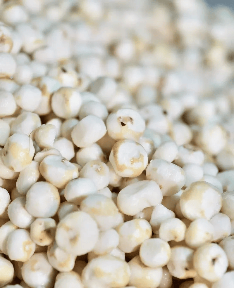 一颗小马蹄撬动亿级大产业