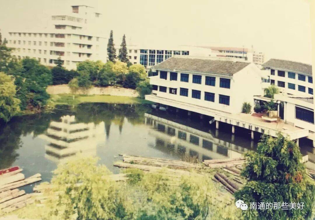 张宏时||回望老金沙:教场河杂忆_木排_桑葚树_木材