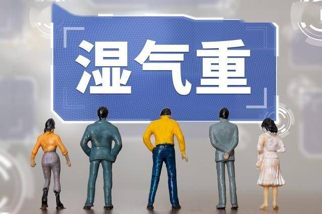 湿热分3种，对3个经典方！藿香清胃+龙胆泻肝+葛根芩连，对症祛湿