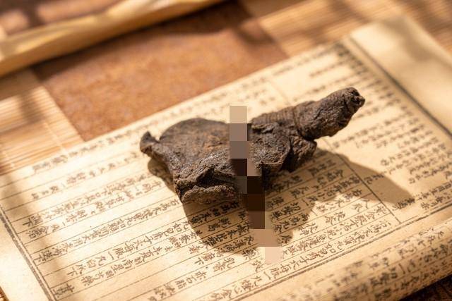 干货：一张腰突奇方，化淤血扶正气，拯救上千患者的腰椎！