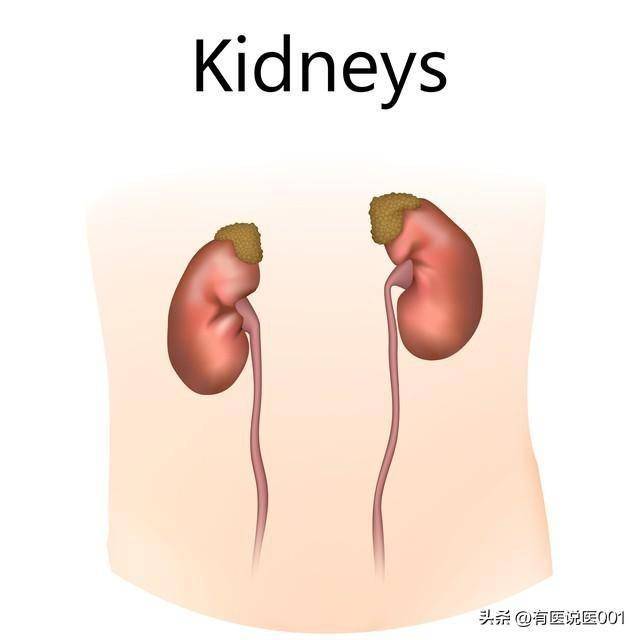 男性功能差别盲目进补！这味不起眼中药专通瘀堵，气血通畅是关键