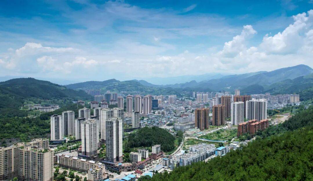 【道真城BA】道真四大名菜：藏在山水间的地道风味_党参_馈赠_生态