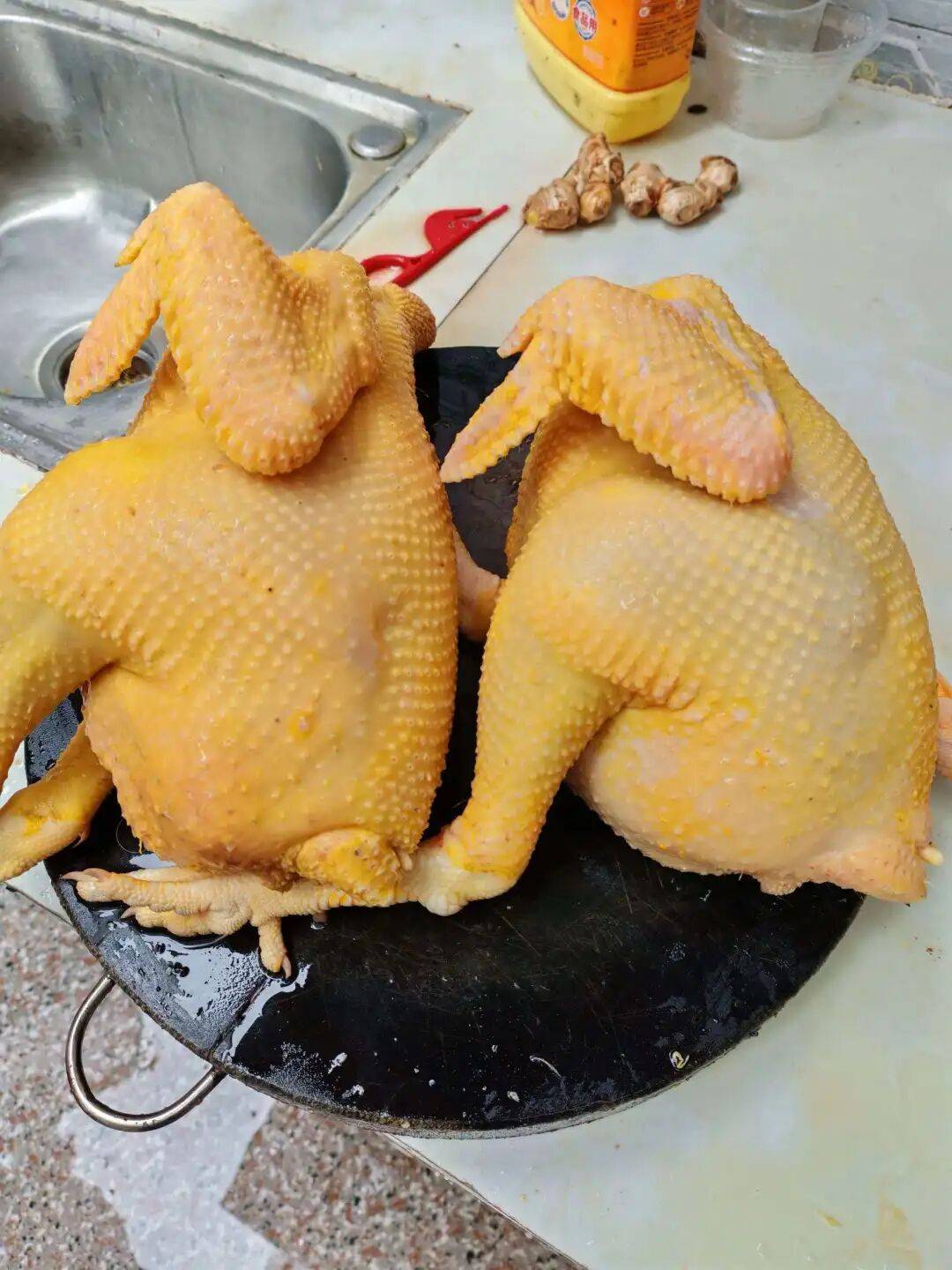这个养鸡场采用发酵豆渣降低了20%以上饲料成本经济效益高