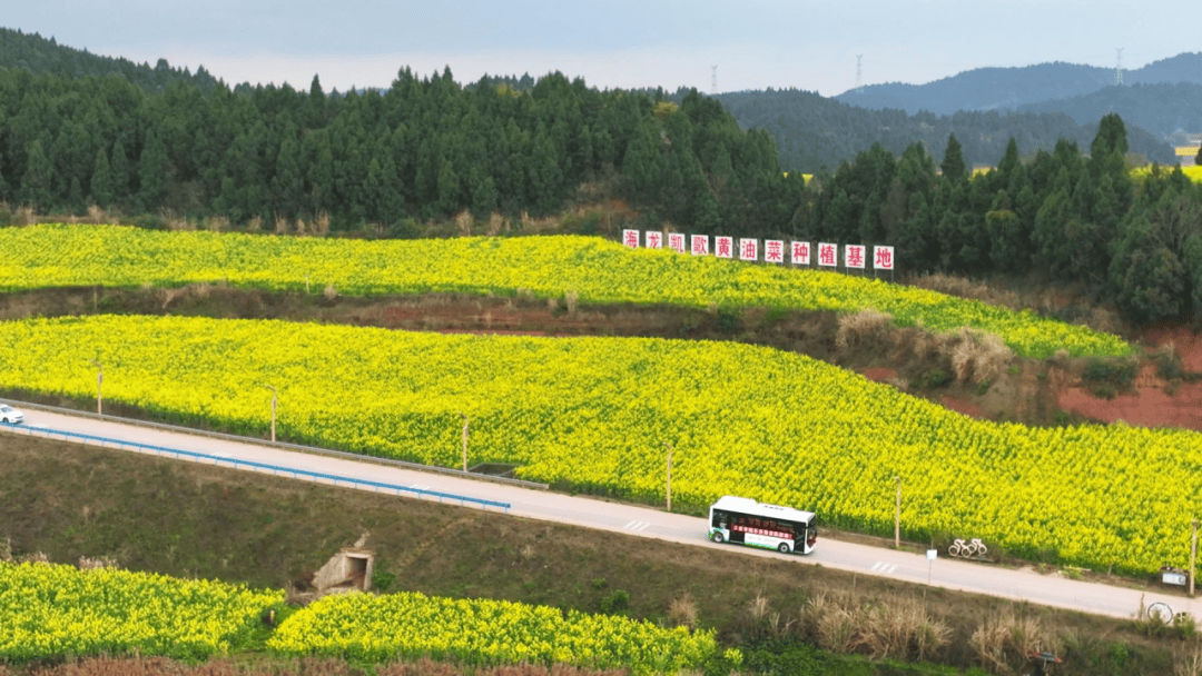 速转！安居春凤凰体育- 凤凰体育直播- APP节免费公交路线