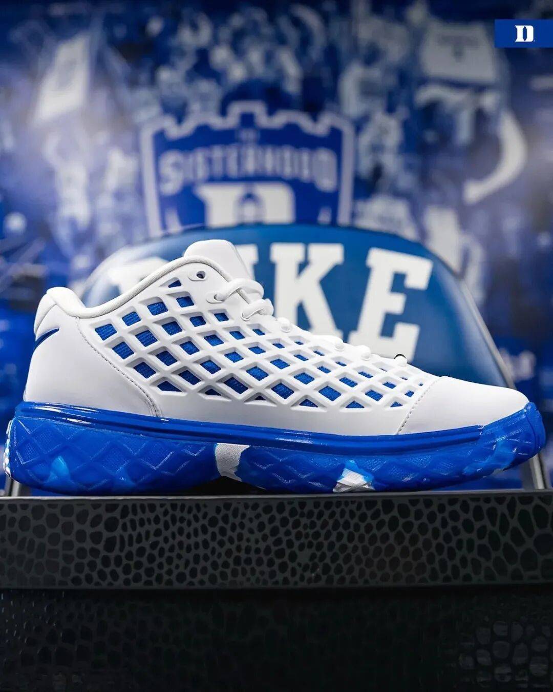 这双nike kobe 3 low protro duke