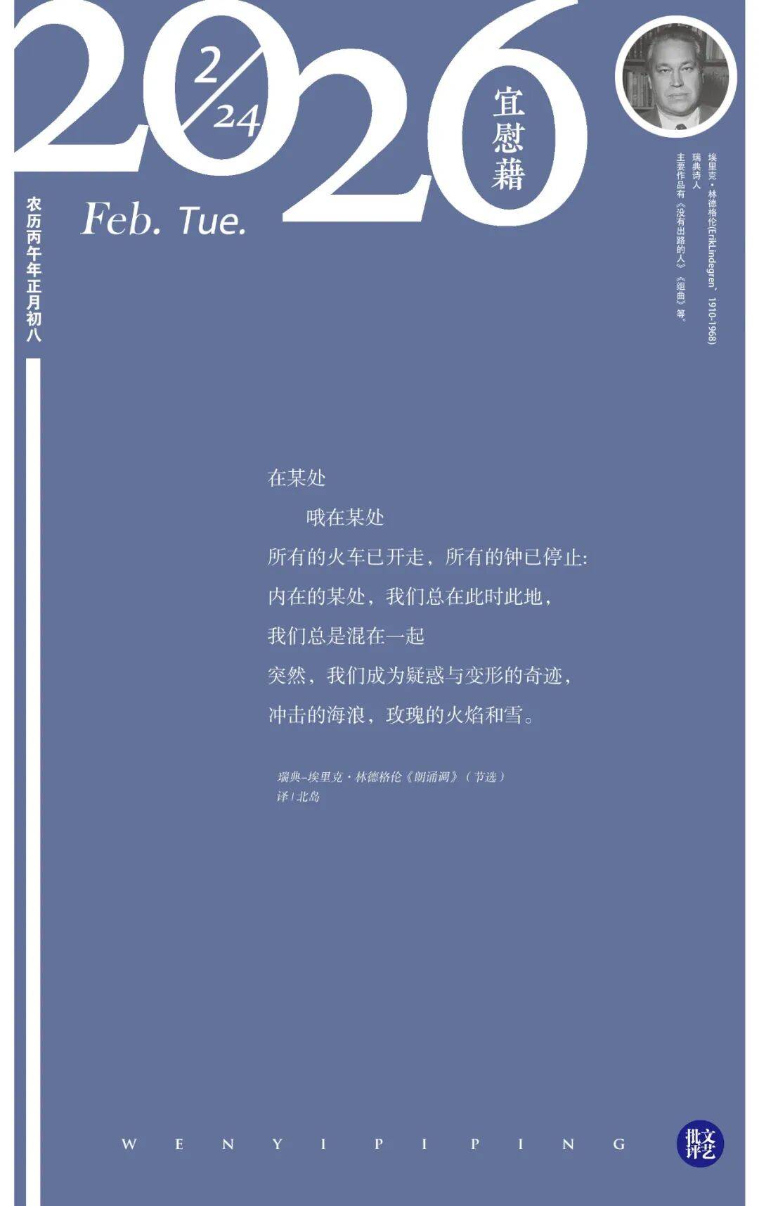 日签 | 2026.02.24 宜慰藉_骨头_浪涛_星星