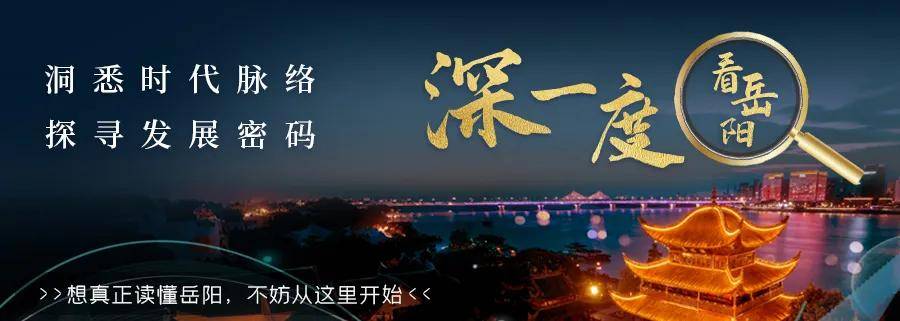 都是“硬”菜,“楼”上有请!_岳阳_企业_文件袋