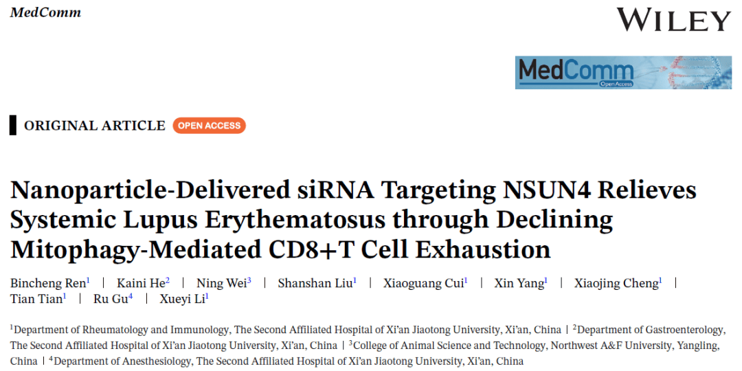 Nsun4 Roster MedComm | 纳米颗粒递送靶向NSUN4的siRNA通过减少线粒体自噬介导的CD8+T细胞耗竭来缓解SLE_highCD_水平_患者