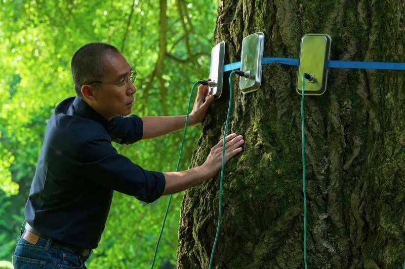耍太极、赤膊，梁朝伟新片发布预告