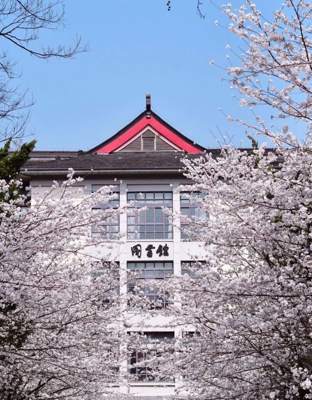 南理工南林官宣可预约进校了