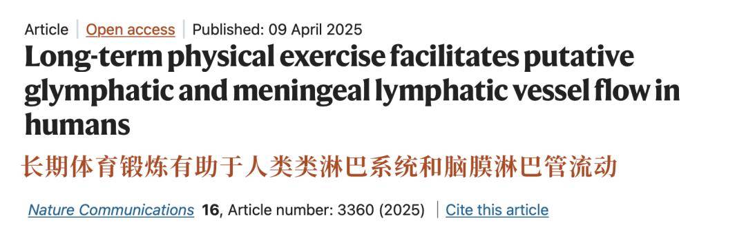 运动“长脑子”被证实：坚持3个月，大脑变化太明显