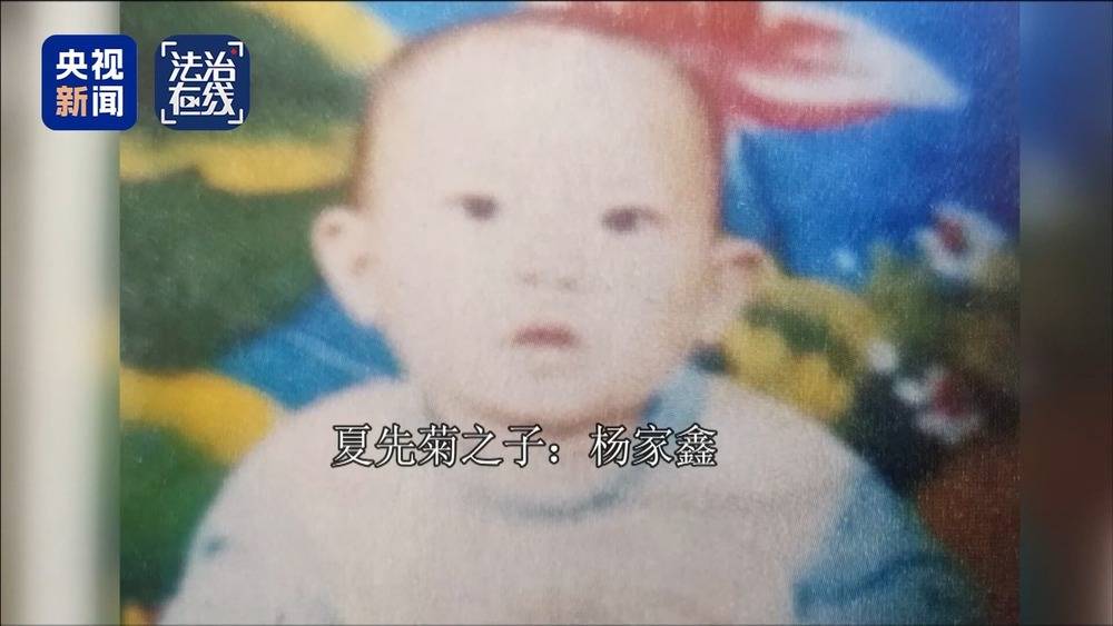 法治在线丨“梅姨”如何落网?何时公布照片?警方披露案件侦办细节