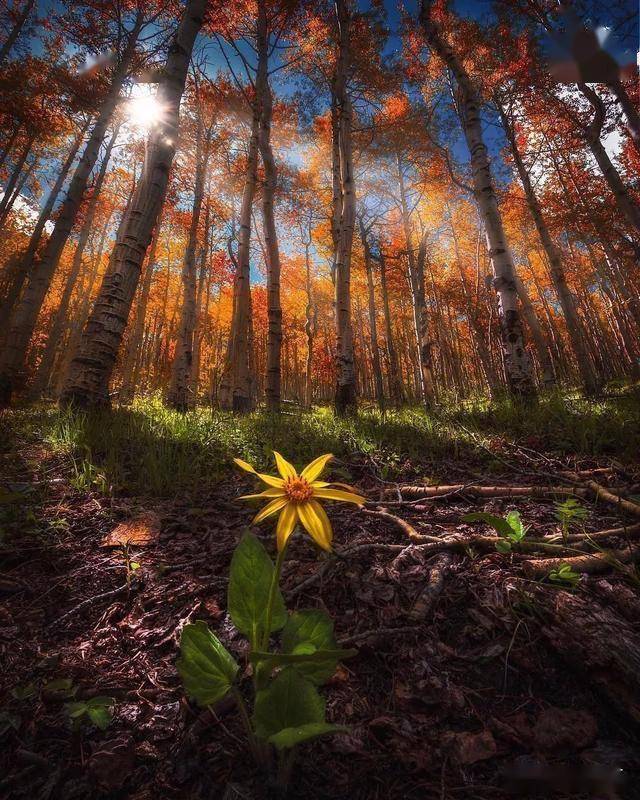 欧美性图库暗藏隐私陷阱引发广泛争议，用户数据遭泄露风险激增，平台监管漏洞被曝光，安全新话题再引关注。