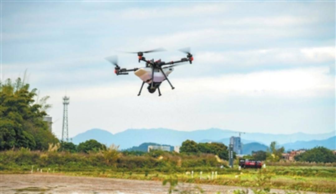 数据成新农资，算法成新农具！AI农场长啥样→