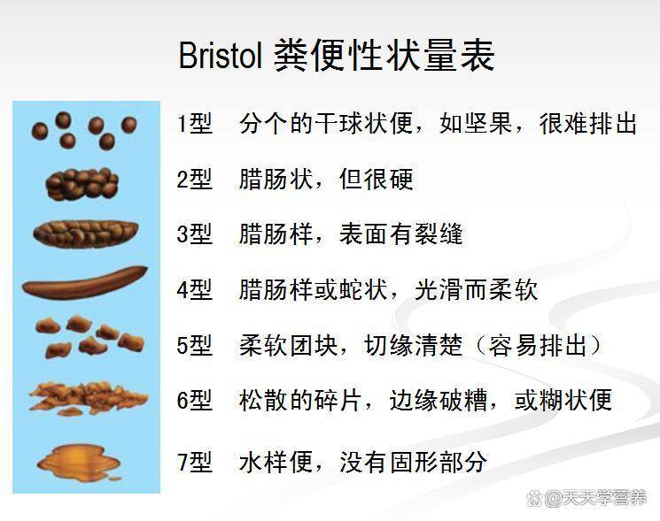 你的便便“颜值”达标了吗？一张图看懂肠道健康_水分_Bristol_腊肠