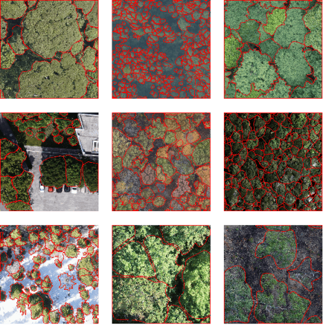 2025“东方慧眼杯”遥感影像智能处理算法大赛国际赛道 打榜冲刺火热进行中！