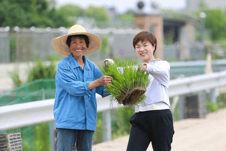球速体育- 球速体育官方网站- APP下载这位参加过国庆阅兵的女兵退役后回上海农