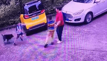 柳州一男孩被黑狗追赶，老奶奶拎着书包边赶狗边护着两个娃，物业：狗主人身份仍在核查