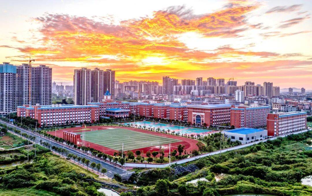 文章配图-12