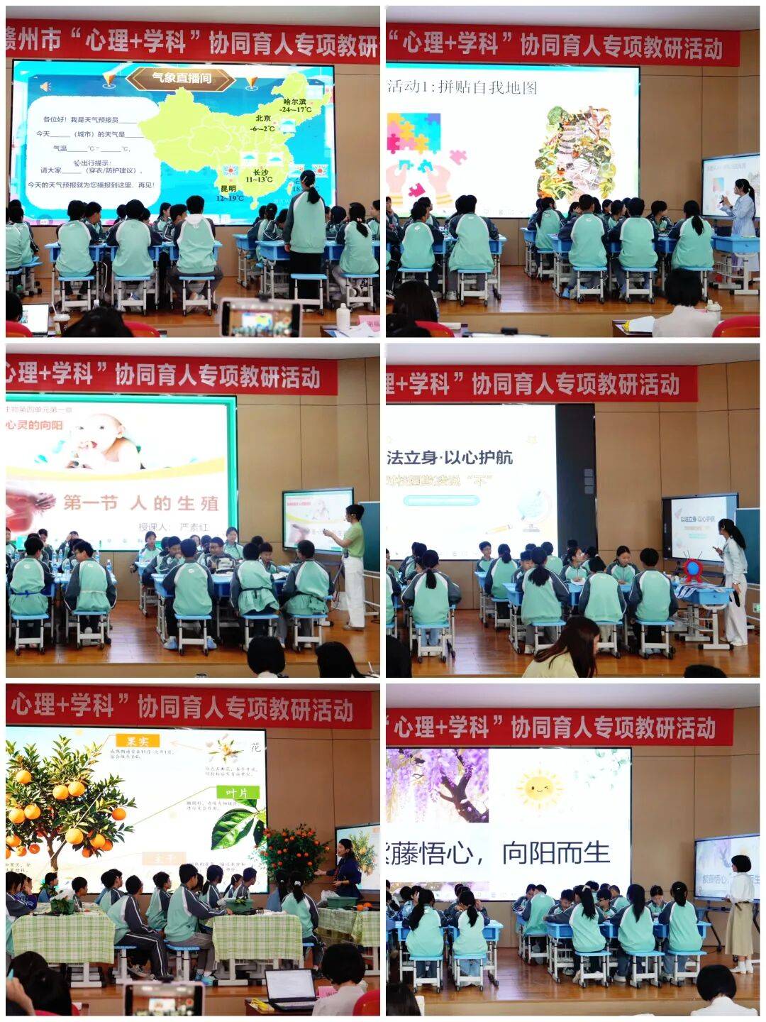 生物地理等12个学科的融合课例着力推动将心理健康教育的理念方法