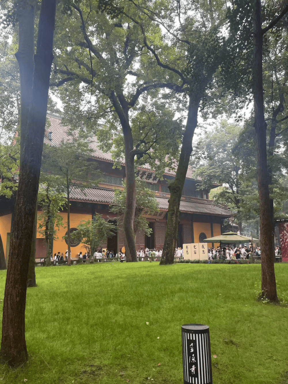 DeepSeek终于能看图了！我第一时间用它算命