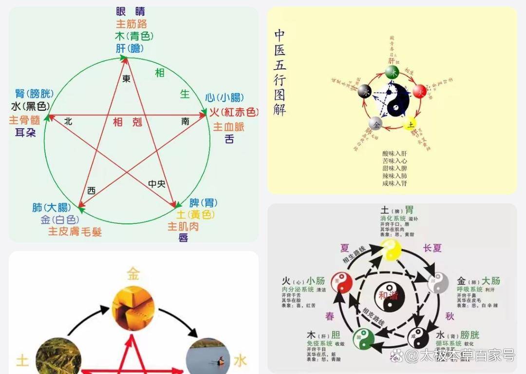 五行大全集!(中医必学系列)_食物_五脏_制约