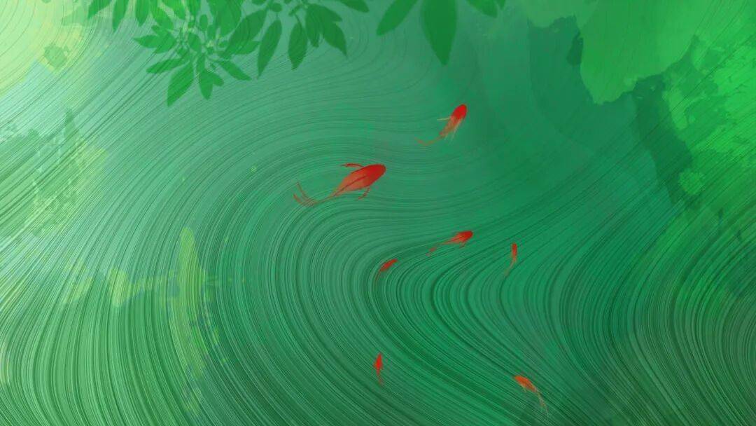 可以养生的“长寿草”，癌患煮水喝，身体悄悄变好了
