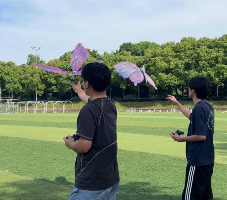 无人机专业大学生手搓仿生蝴蝶创业,单价1500元已卖出上千只