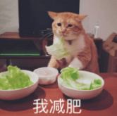 以为巨长胖，实际对减肥“友好”的10种食物！