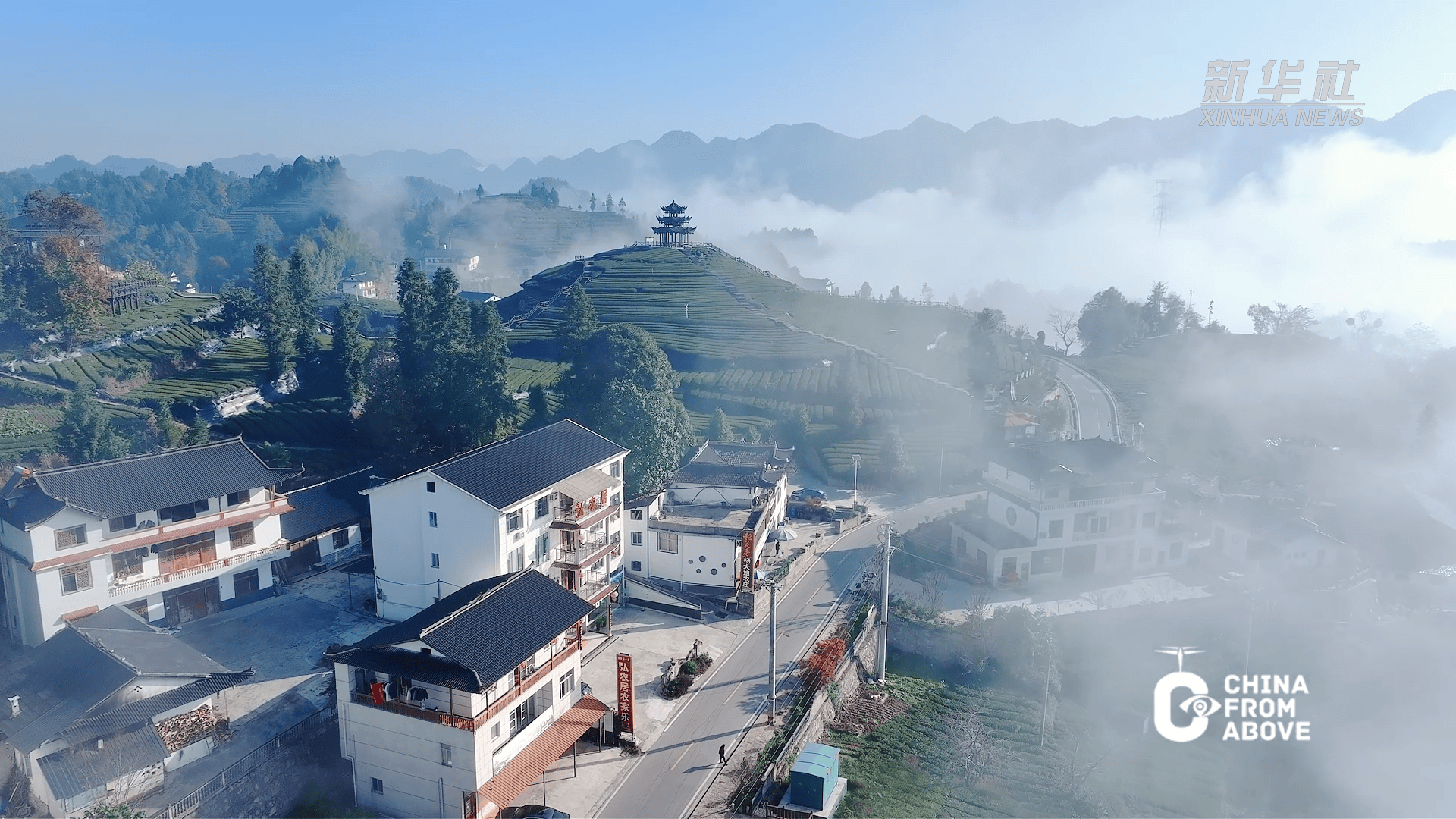 瞰中国｜湖北宣恩：朝晖映层峦 云雾绕茶山