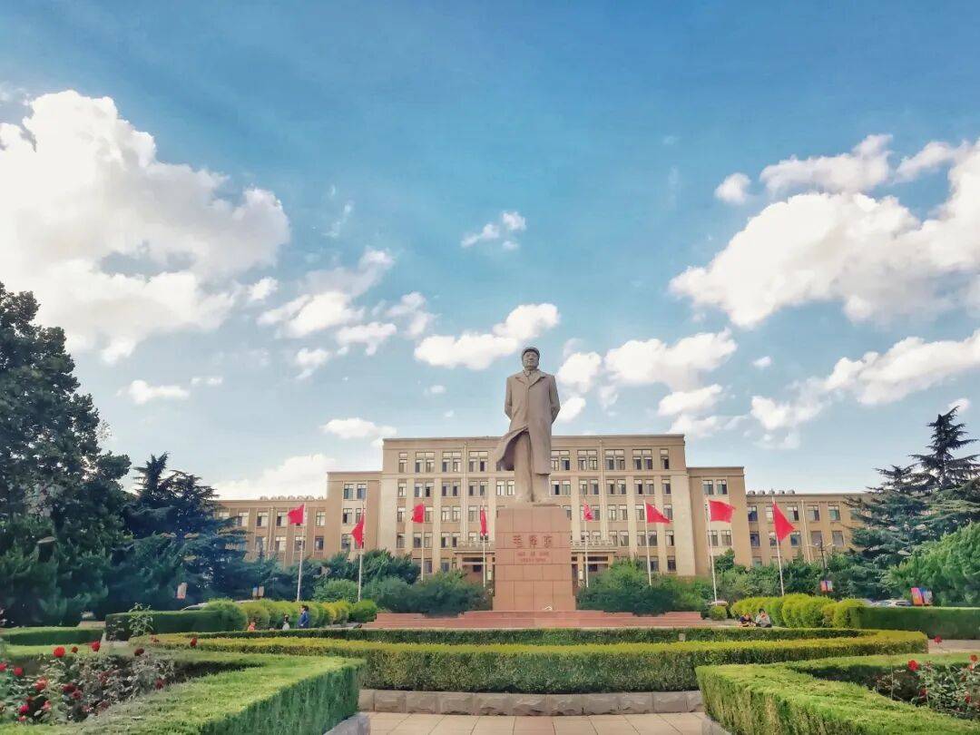 美！大工版超全“拼豆”图纸来了！_青春_阳光_记忆