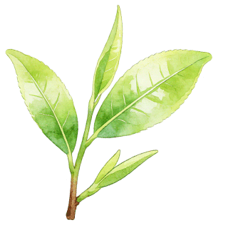 “茶马古道”对话“万里茶道”活动在杭州举行 共话“大国茶道”有效保护与活化利用