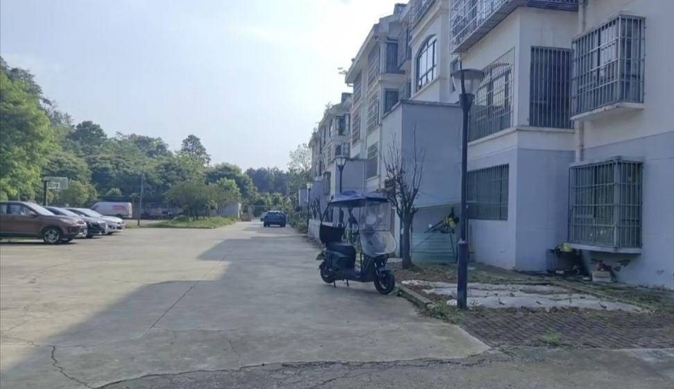 马匹冲入小区拖拽5岁女童致死，马主涉过失致人死亡被立案 母亲：多希望自己是超人，拉住那匹马