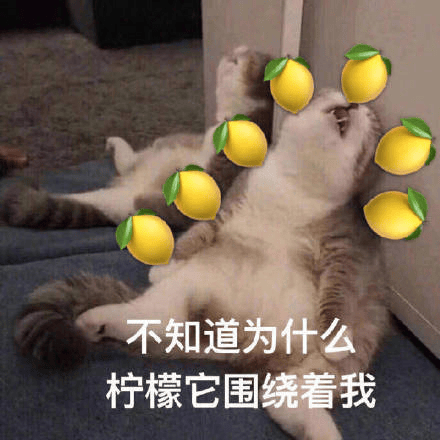文章配图-1