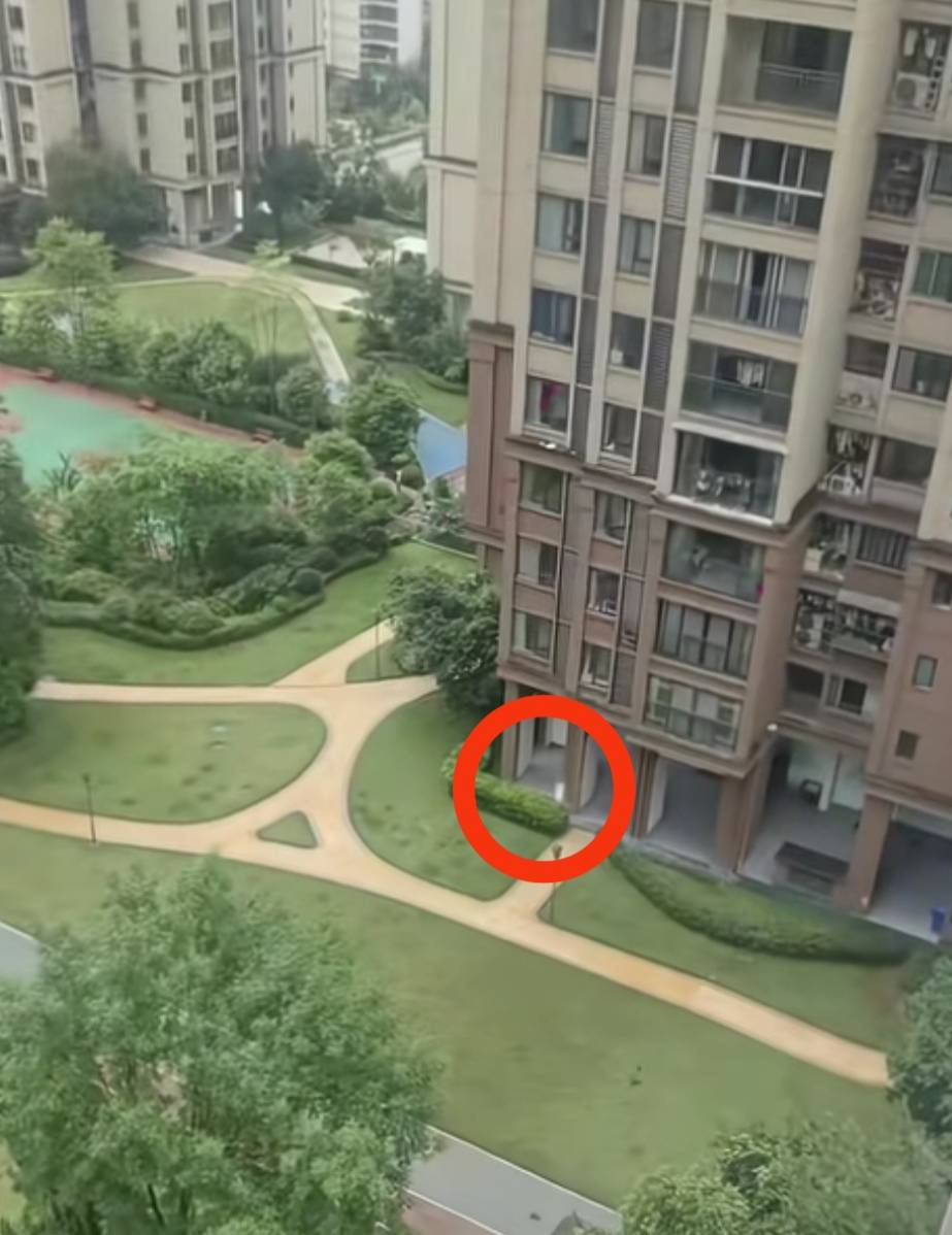 重庆一小区住户在自家阳台撒钱?物业:撒的是练功券,其自称是为了好玩_网友_万州_视频