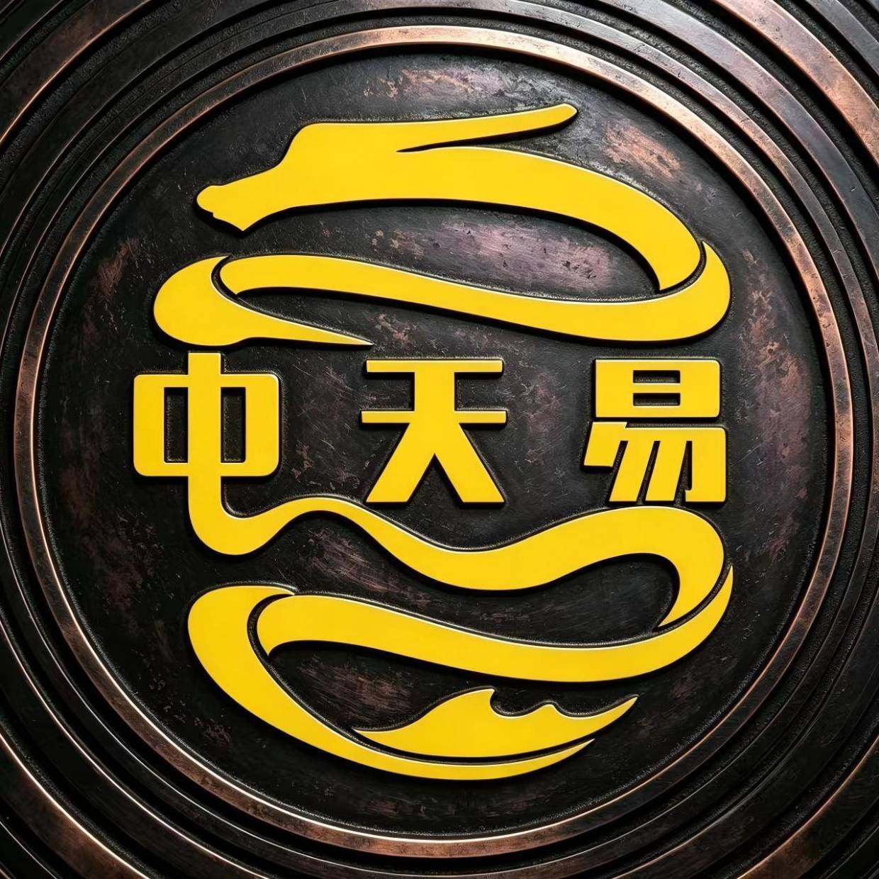 中天易学