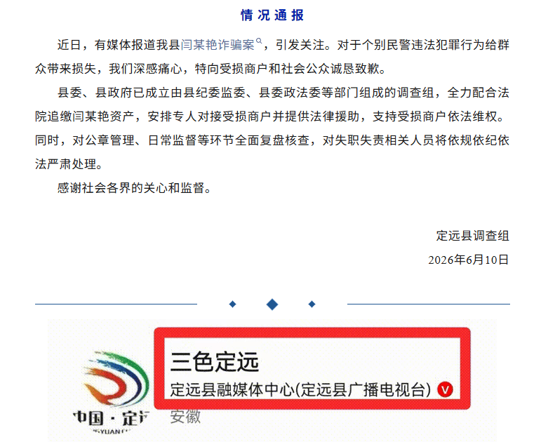 安徽定远县调查组情况通报