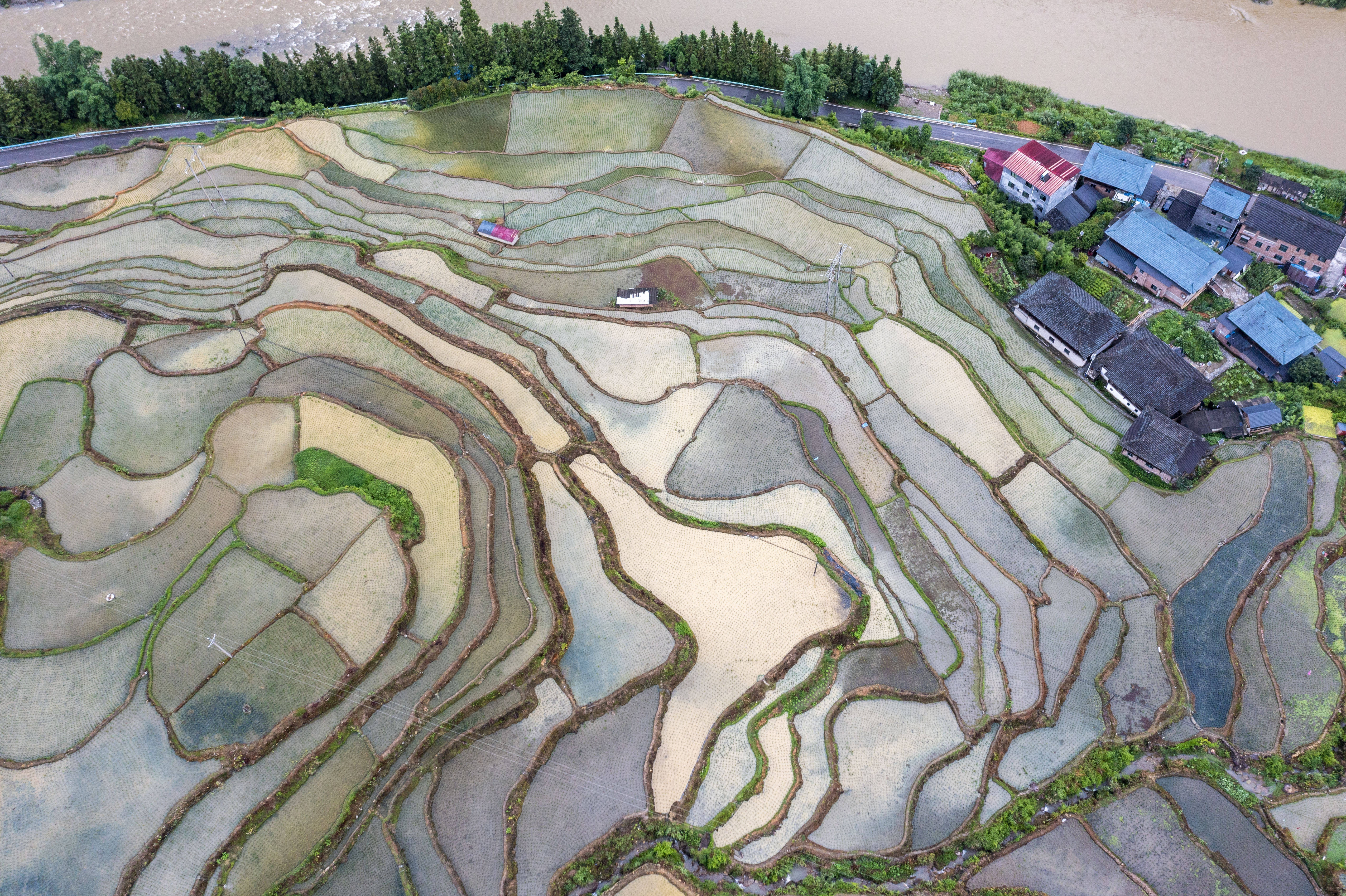 文章配图-1