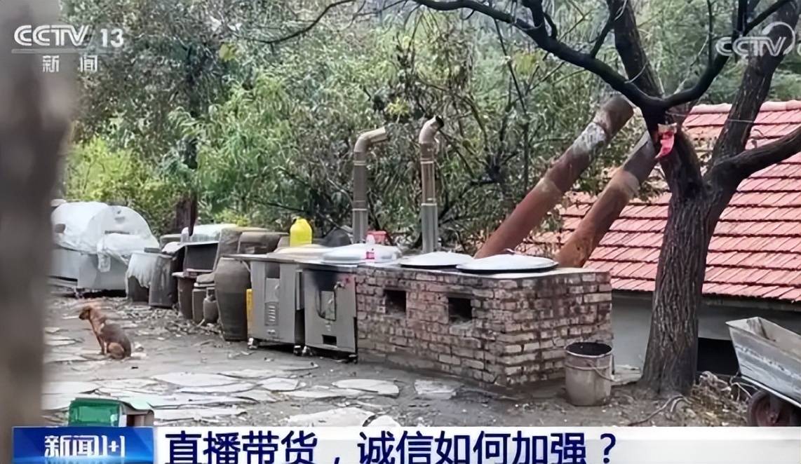 官方出手东北雨姐再迎噩耗被她害惨的4位明星也出了口恶气