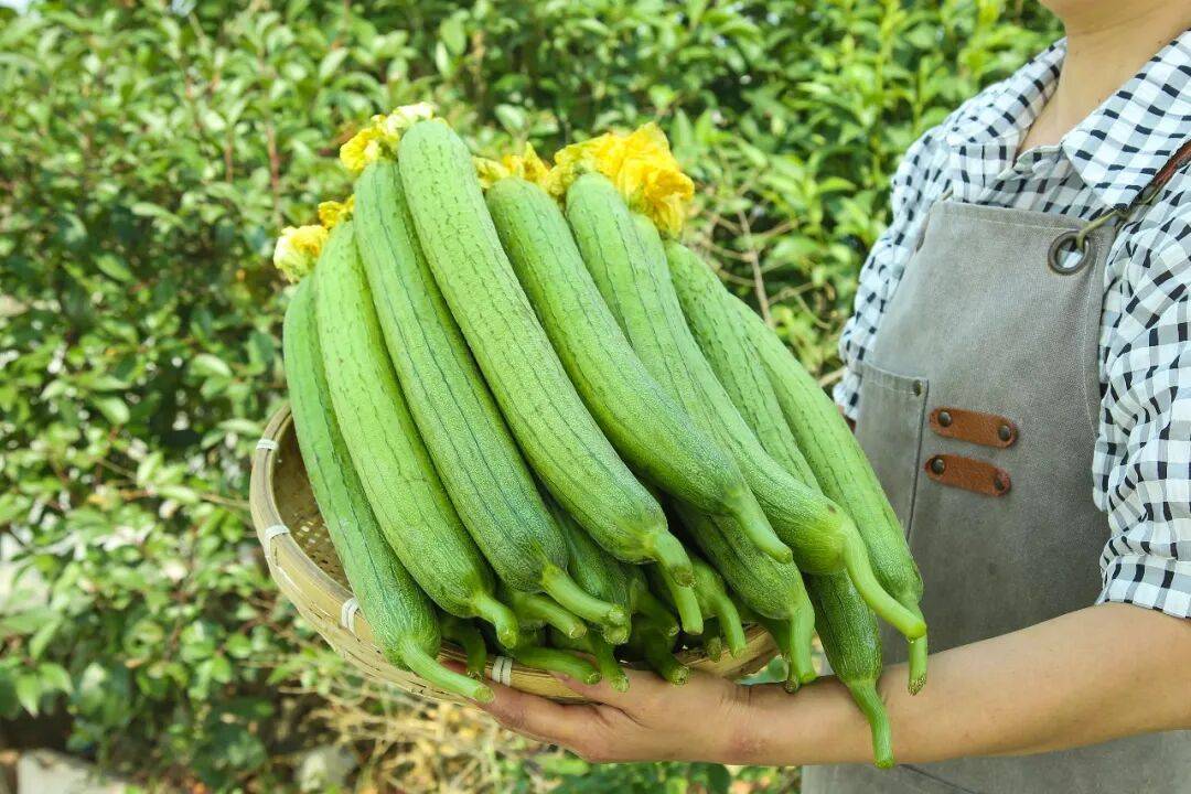 夏天吃它，清热解毒、润肌美容，还能调理痛风