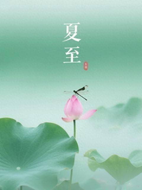 后天夏至，中老年别太心疼钱，多吃3种肉，养阳散寒比吃狗肉棒