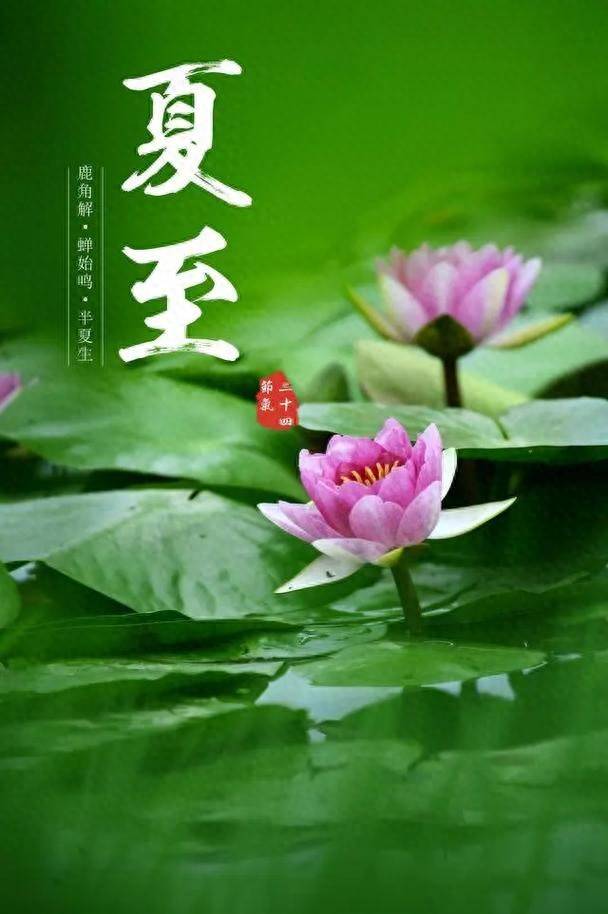 明日夏至，老传统要“补夏”，别忘吃“4宝”，为三伏天打好基础
