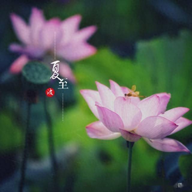 提醒大家：这4样越吃“湿气”越重，夏至后为了健康建议少吃！