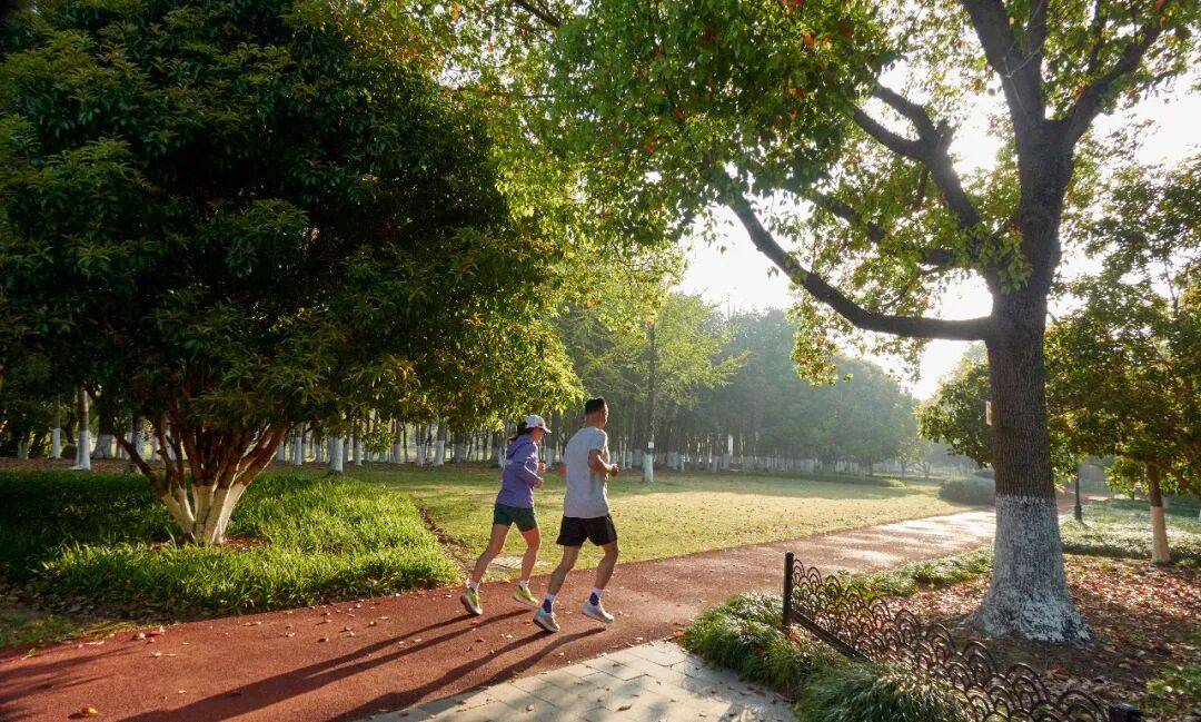 如何科学减重？很多人可能第一步就没做对