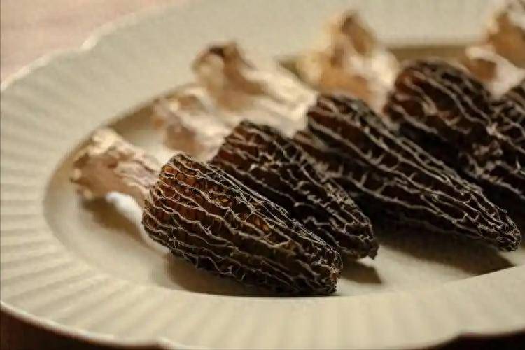 原创            吃羊肚菌中毒入院？医生发现：食用前这三步不能省