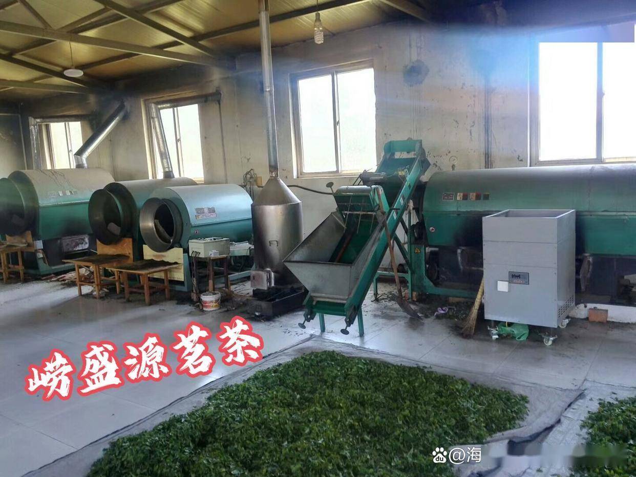崂盛源茗茶原产地好茶，崂山茶园茶农直供不踩坑！