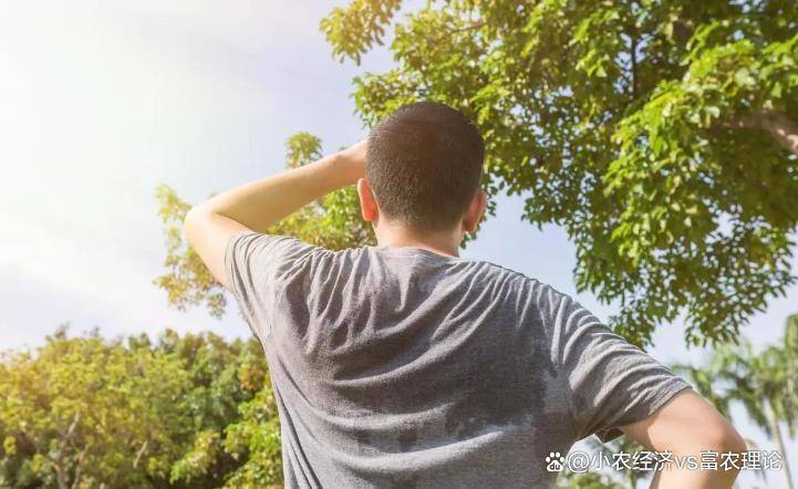 原创            夏至过后，记得提醒家人：这6件事要做好，顺应时节安稳度夏