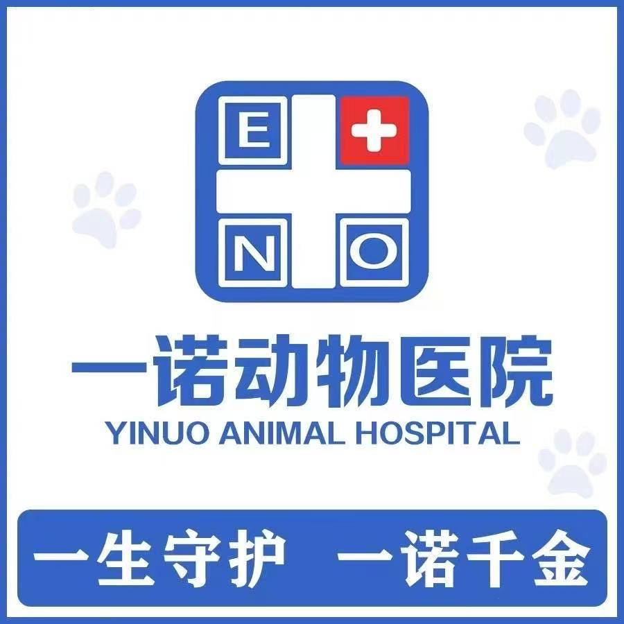 长春市新手养异宠看病怎么选门店?_南关_诊疗_动物医院