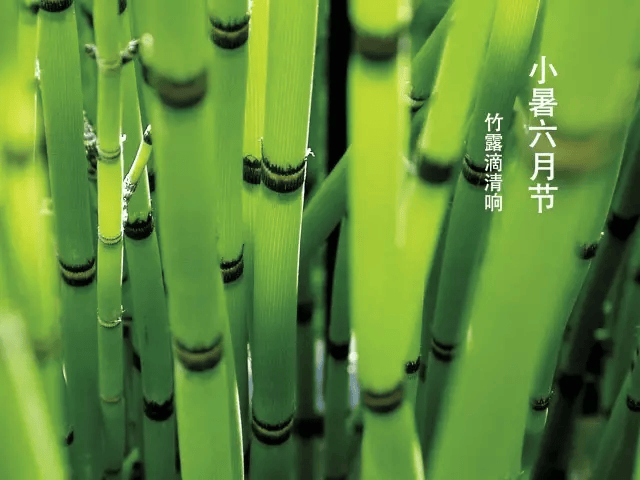 小暑养生过“六关”